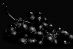 fotografia en blanco y negro uvas